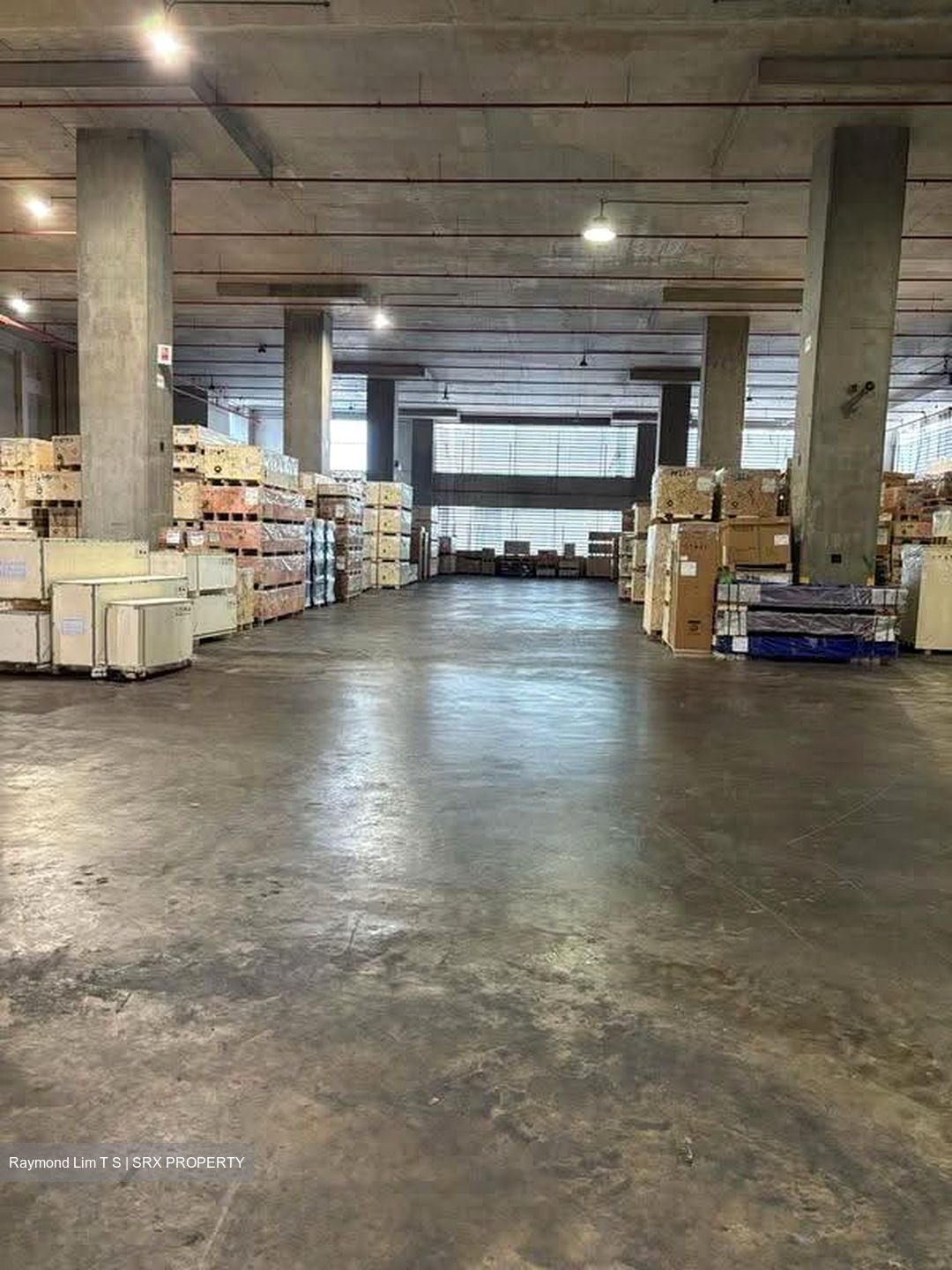 Pioneer Mall (D22), Factory #613316161